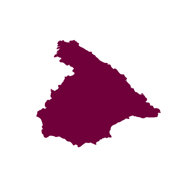 🍇ESPAGNE "Marqués Del Cruz" 2022 (Rouge)