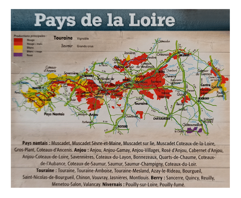 🍇ST-NICOLAS DE BOUR... BIO 2022 (Rouge)